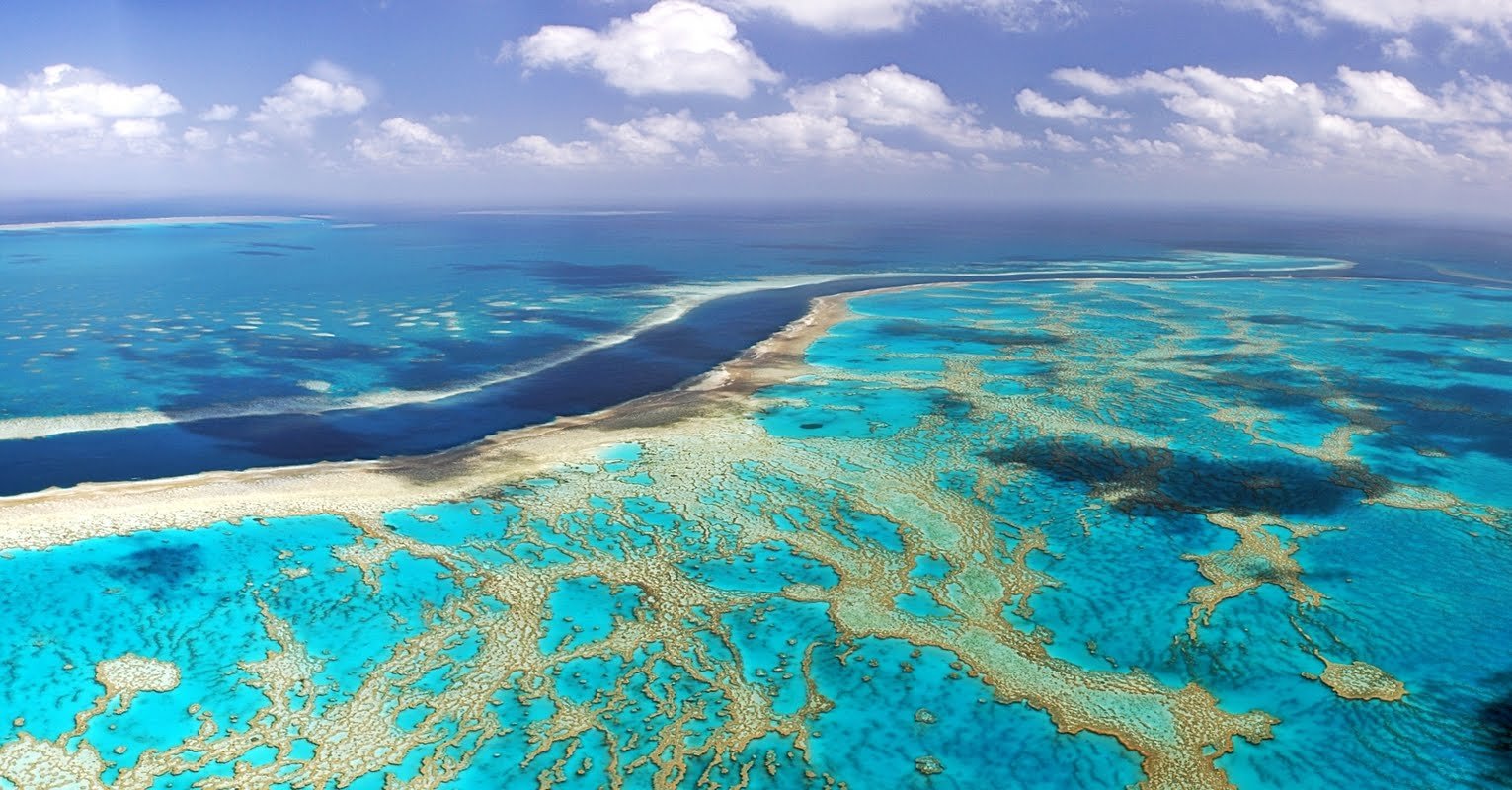 Бассейны мировых океанов. Барьерный риф Белиз. Атолл Альдабра. Окаймляющие рифы. Самое большое море.