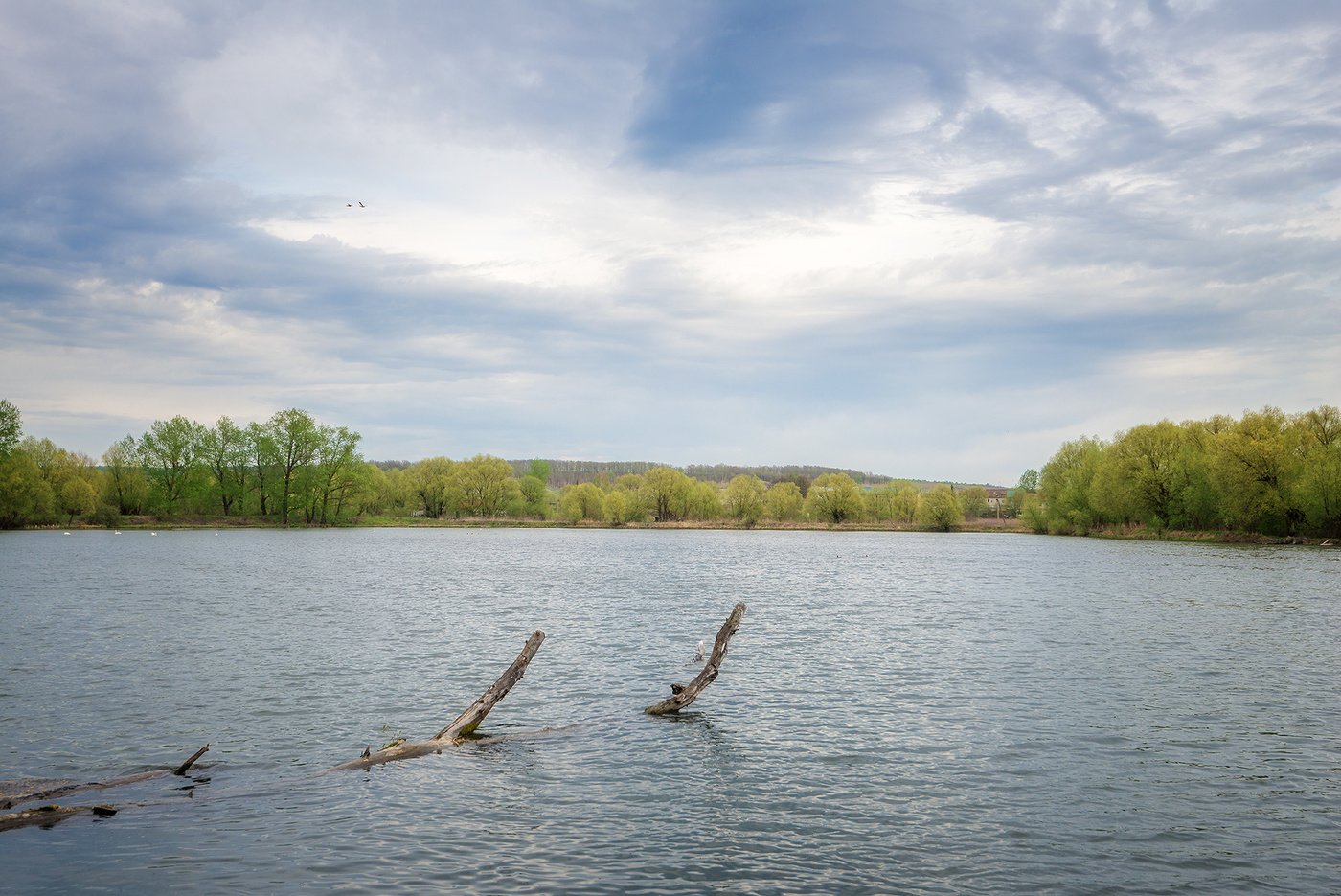Первое мая озеро. Озера Ульяновской области. Белое озеро Ульяновская область. Озеро Прибрежное ганчиговский район. Озеро весной фото.
