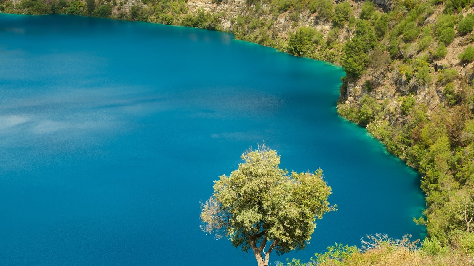 Озеро с синей водой. Блу-Лейк (озеро, Южная Австралия). Голубые озёра (Черниговская область). Голубое озеро Хинганск. Озеро синяя балка.