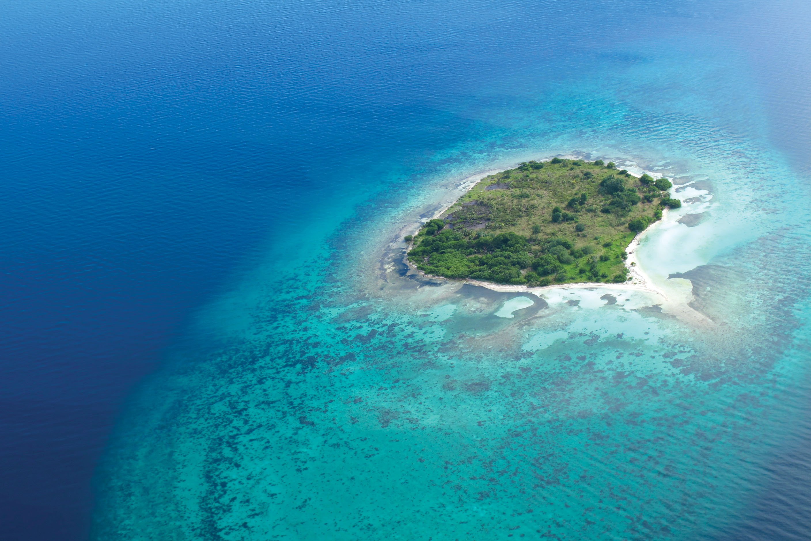 Какой остров в океане есть. Мохо-Тани остров. Парадиз остров Карибского моря. Остров Deadman Caye. Aride Island индийский океан.