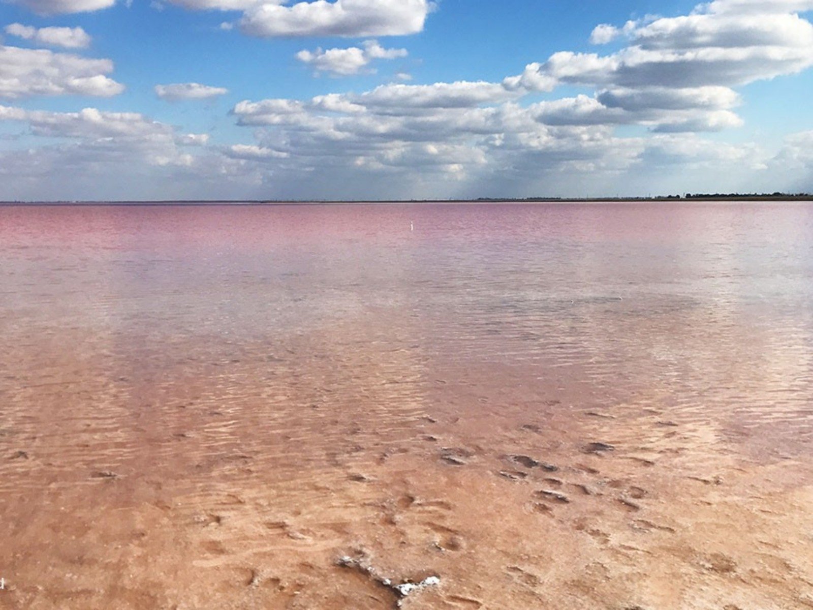 Розовое озеро саки. Сасык Сиваш озеро. Озеро Сасык-Сиваш, Крым, Евпатория. Розовое озеро в Крыму Сасык Сиваш. Солёное озеро в Евпатории розовое.