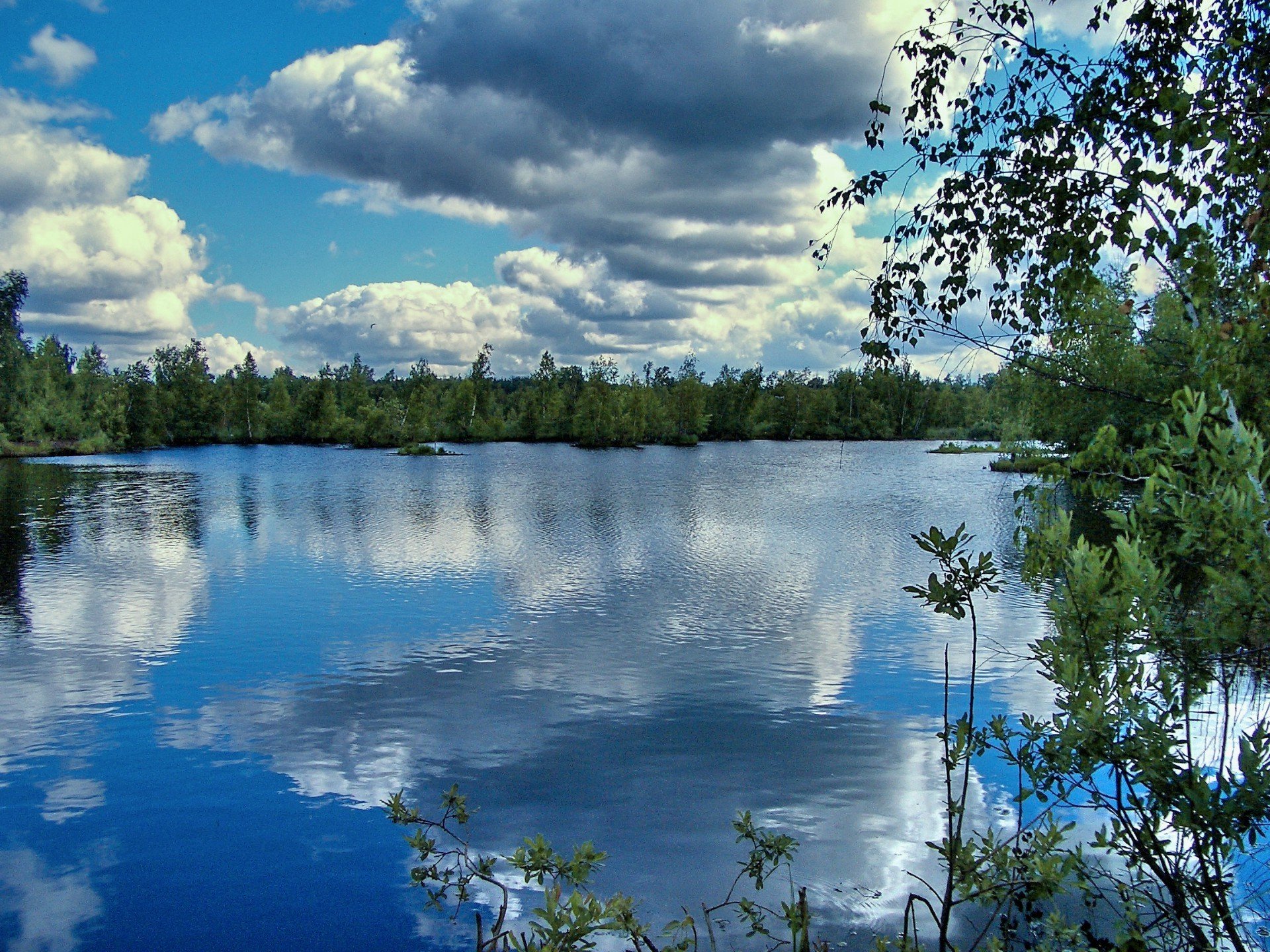Увидев хорошо знакомое озеро. Озеро синее Щелковский. Озеро синее Щелковский район. Озера Подмосковья. Озера средней полосы России.