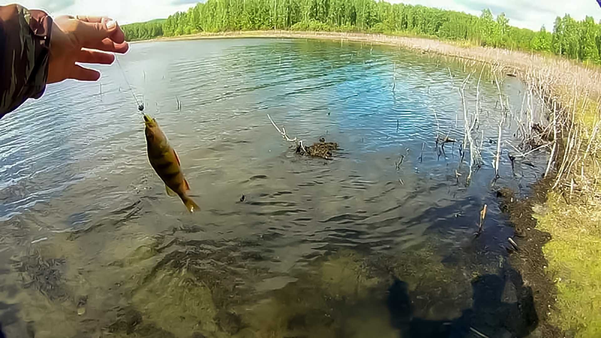 Какая рыба ловится в озере. Рыбалка на Аргази озеро в Челябинской. Аргази озеро рыбалка. Аргази щука рыбалка. Рыбалка на Аргазинском водохранилище летом.
