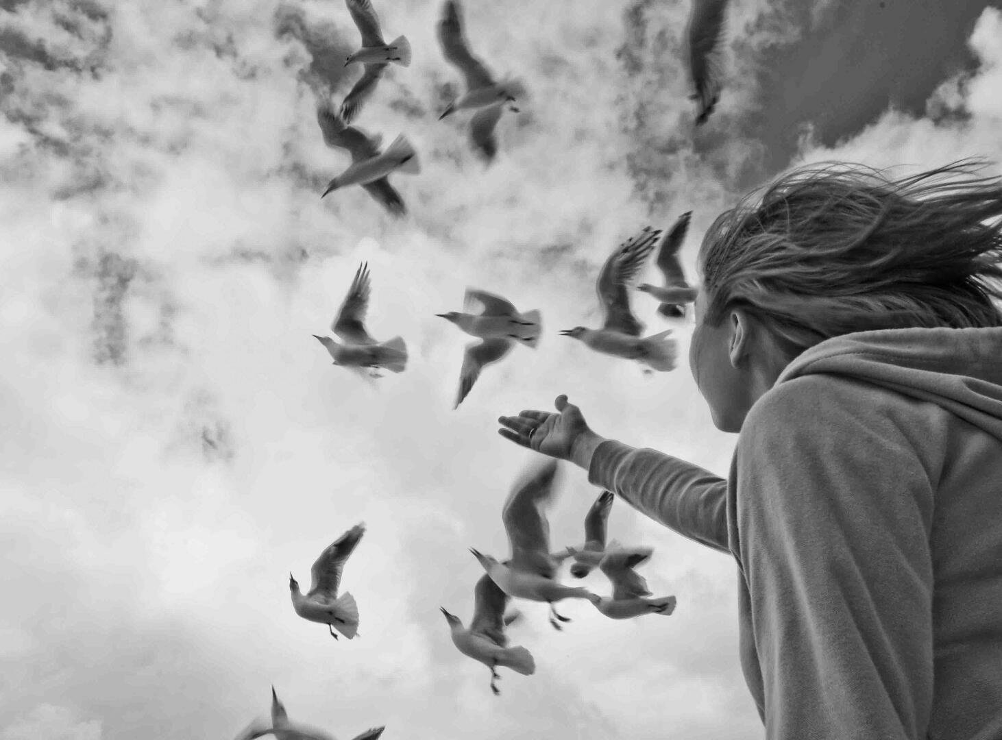 Мы с грустью смотрели как. Одинокие птицы. Девушка птица в небе. Птица свободы. Птицы разлетаются.