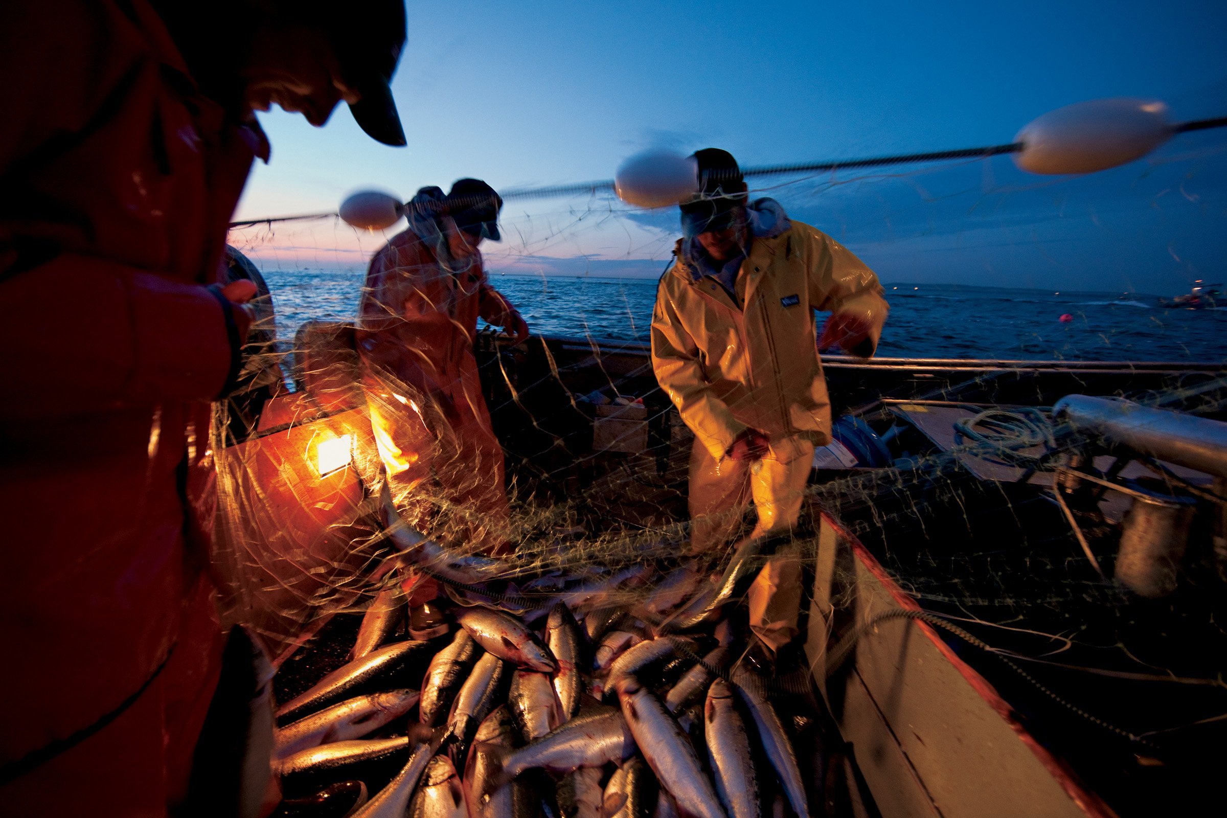 Идти на промысел. Salmon Fishing in Alaska промышленность. Рыбопромышленный комплекс дальнего Востока. Рыбопромышленный комплекс Сахалин. Тихий океан промысел.