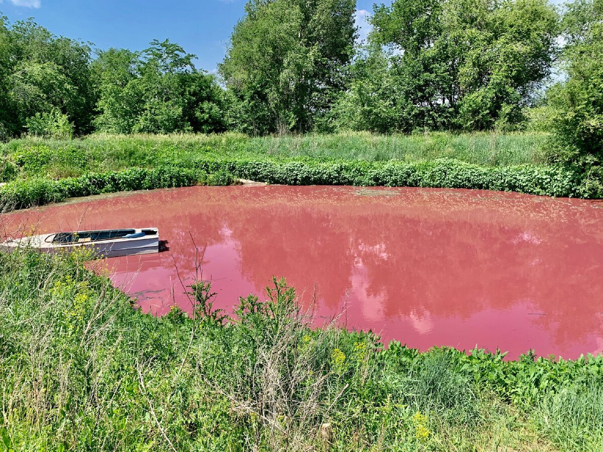 Красные озера где. Красные озера Тульская область. Озеро красное Бутурлинский район. Красное озеро Самарская область. Розовое озеро Самарская область.