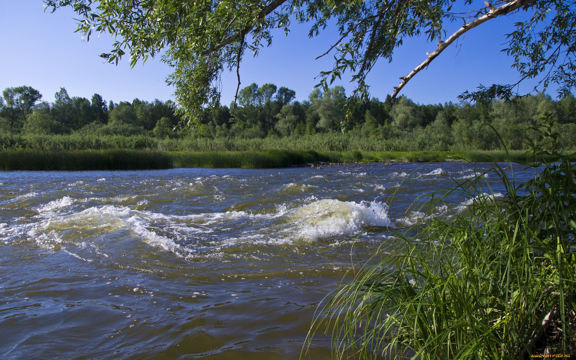 Она сильная река. Река казкаш. Река Иргиз. Река большой Иргиз. Речка с волнами.
