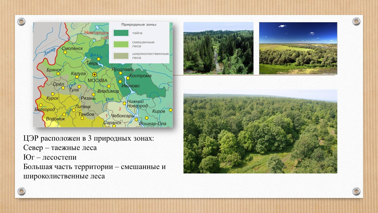 Природная зона это крупный участок. Природные зоны центрального экономического района России. Природные зоны ЦЭР. Природные зоны центральной России на карте. Природные зоны Центрально Черноземного района России.