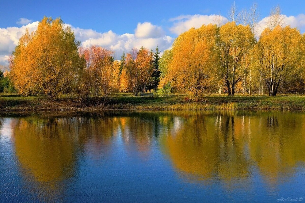 Родной край осенью. Осень озеро. Золотая осень озеро. Родина осень.