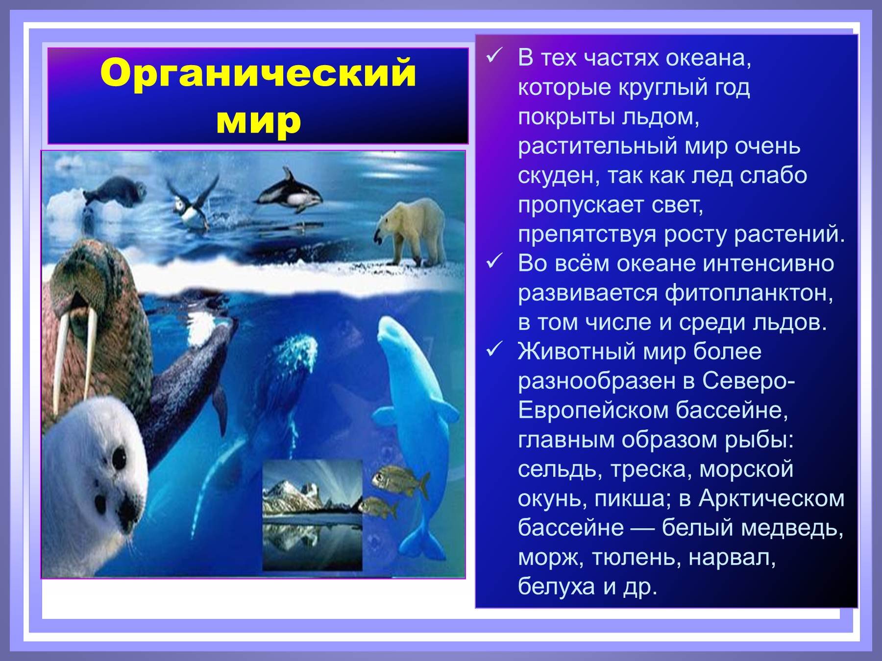 Органический мир нашей планеты подразделяется на. Органический мир Северного Ледовитого океана таблица. Органический мир Северного Ледовитого океана 7 класс. Северный Ледовитый океан презентация.
