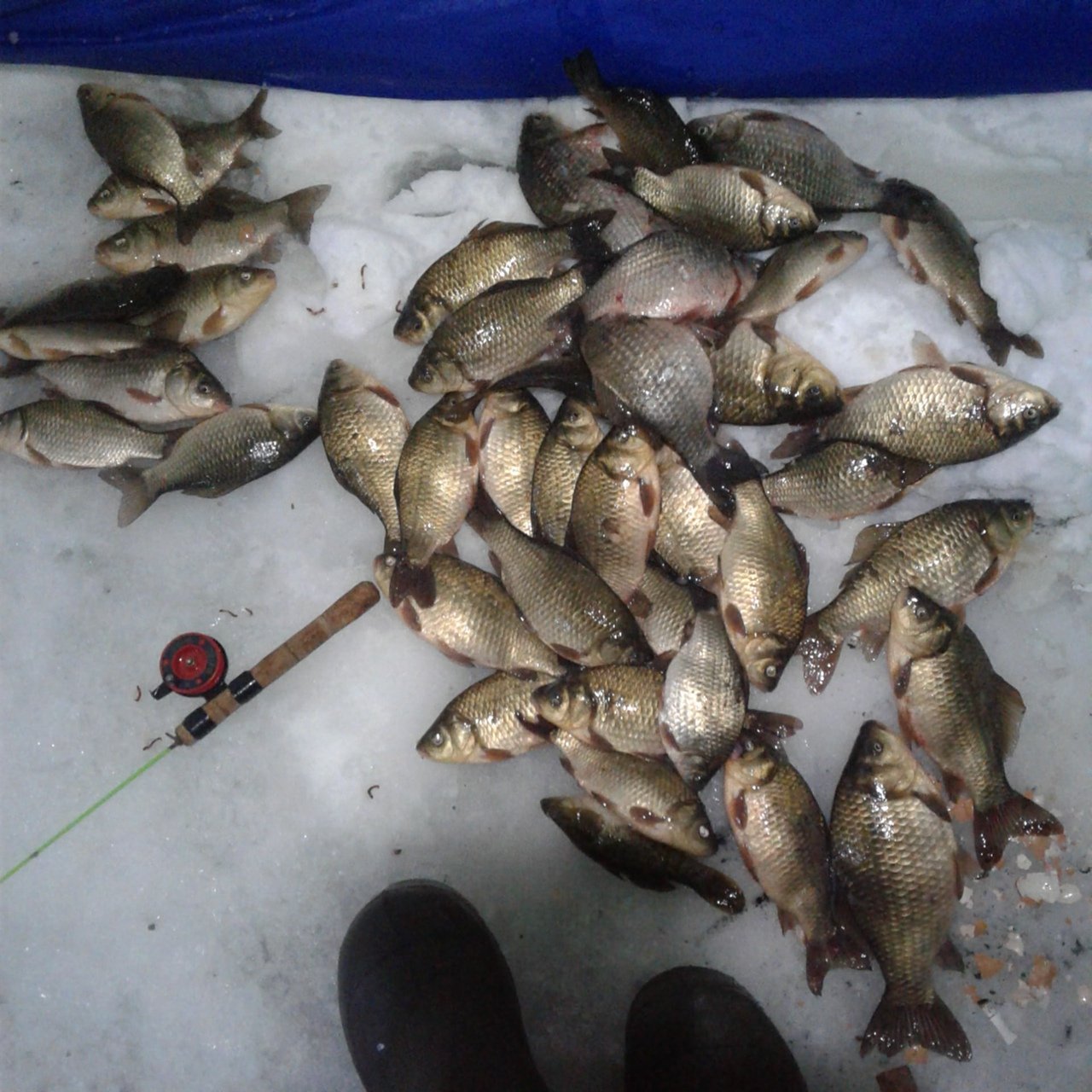 Отчеты о рыбалке на озерах. Озеро Таволжаное Курганская область. Озеро Куртан Курганская область рыбалка. Озеро Таволжан Омская область. Яузское водохранилище рыбалка.