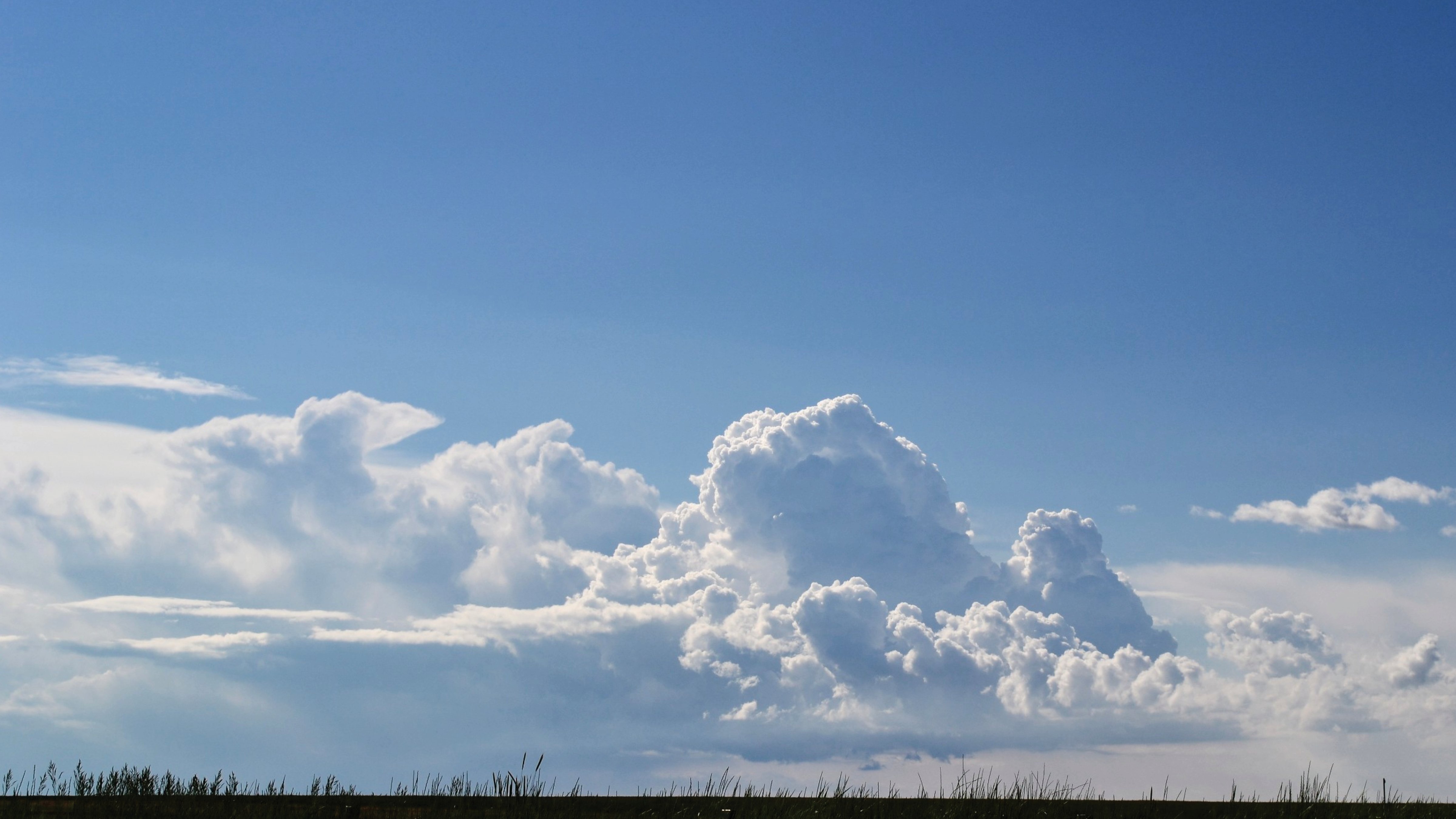 Облачная цитома. Облака Кучевые перистые Слоистые. Кучевые облака облака. Небо с облаками. Небо с кучевыми облаками.