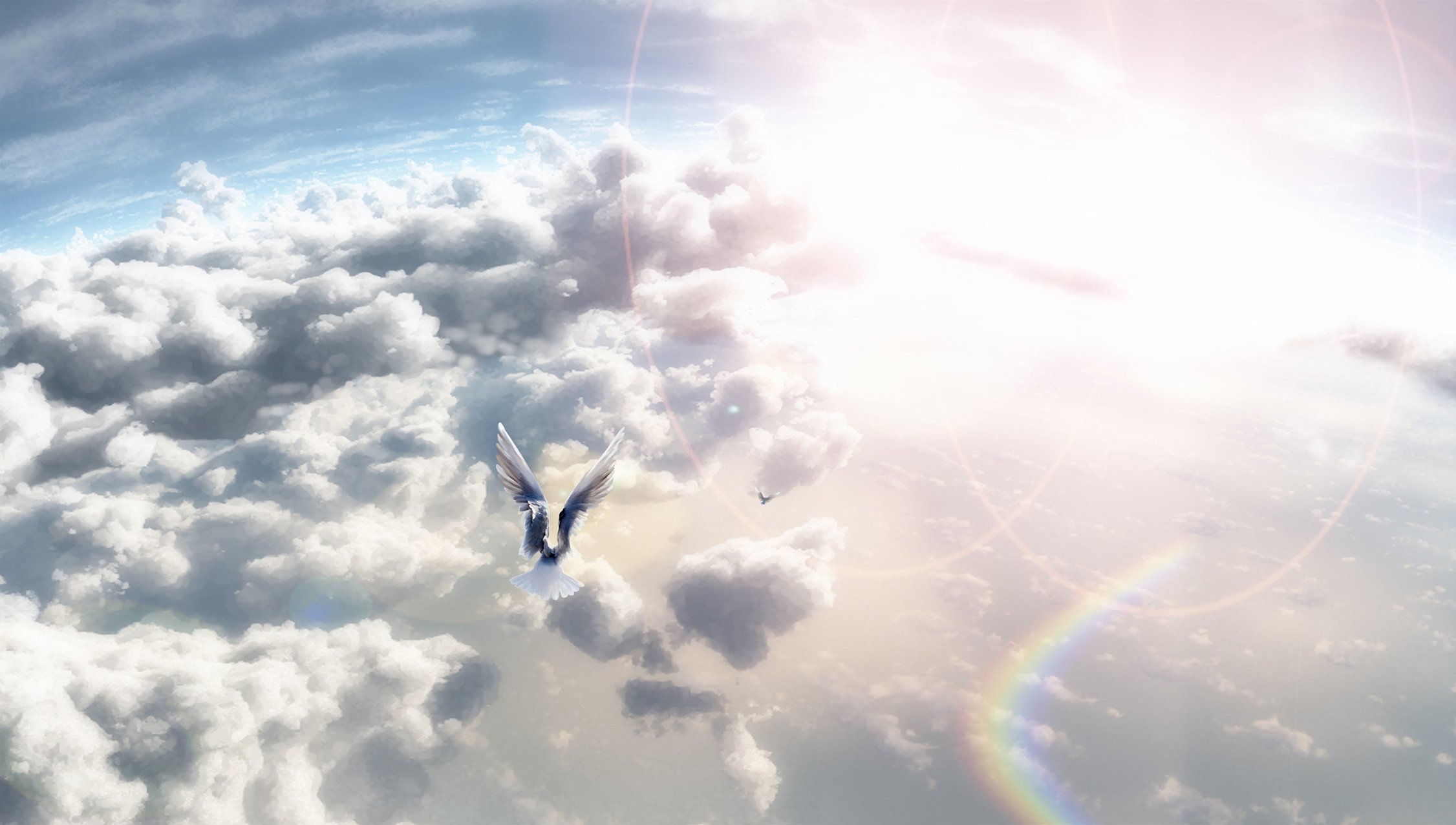 По небу широко по земле. Полет в небе. Летать в облаках. Ангел в небе. Птицы в облаках.