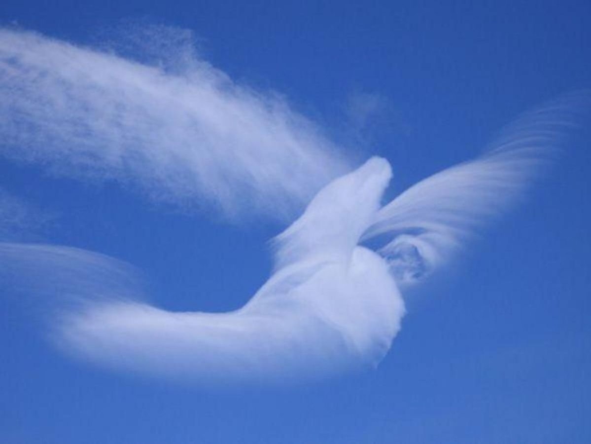 Облака крылатые. Ангел на облаке. Небесные ангелы. Ангел в небе. Облако в форме птицы.
