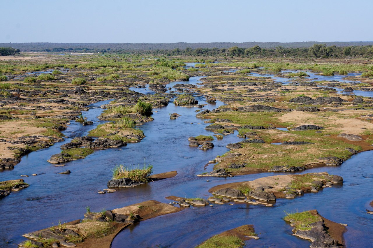 Крупная болотная. Болота сюд, Южный Судан. Болото судд. Болота Окаванго.