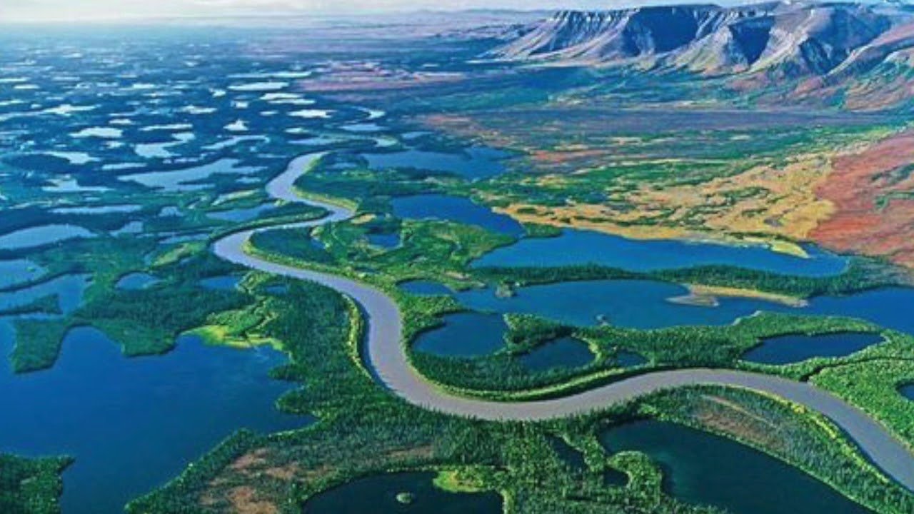 Many rivers and lakes are. Устье реки Маккензи. Река Маккензи Канада. Дельта реки Маккензи. Озеро Маккензи Северная Америка.