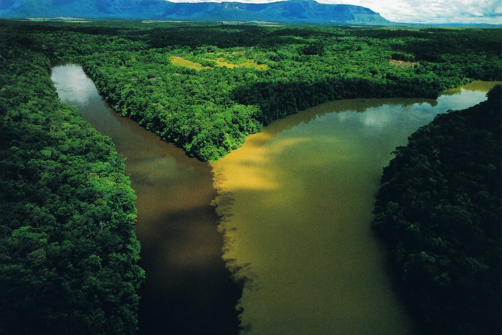 Пресноводное озеро в латинской америке. Дельта Ориноко Венесуэла. Река Амазонка Ориноко. Река Ориноко Южная Америка. Дельта реки Ориноко.