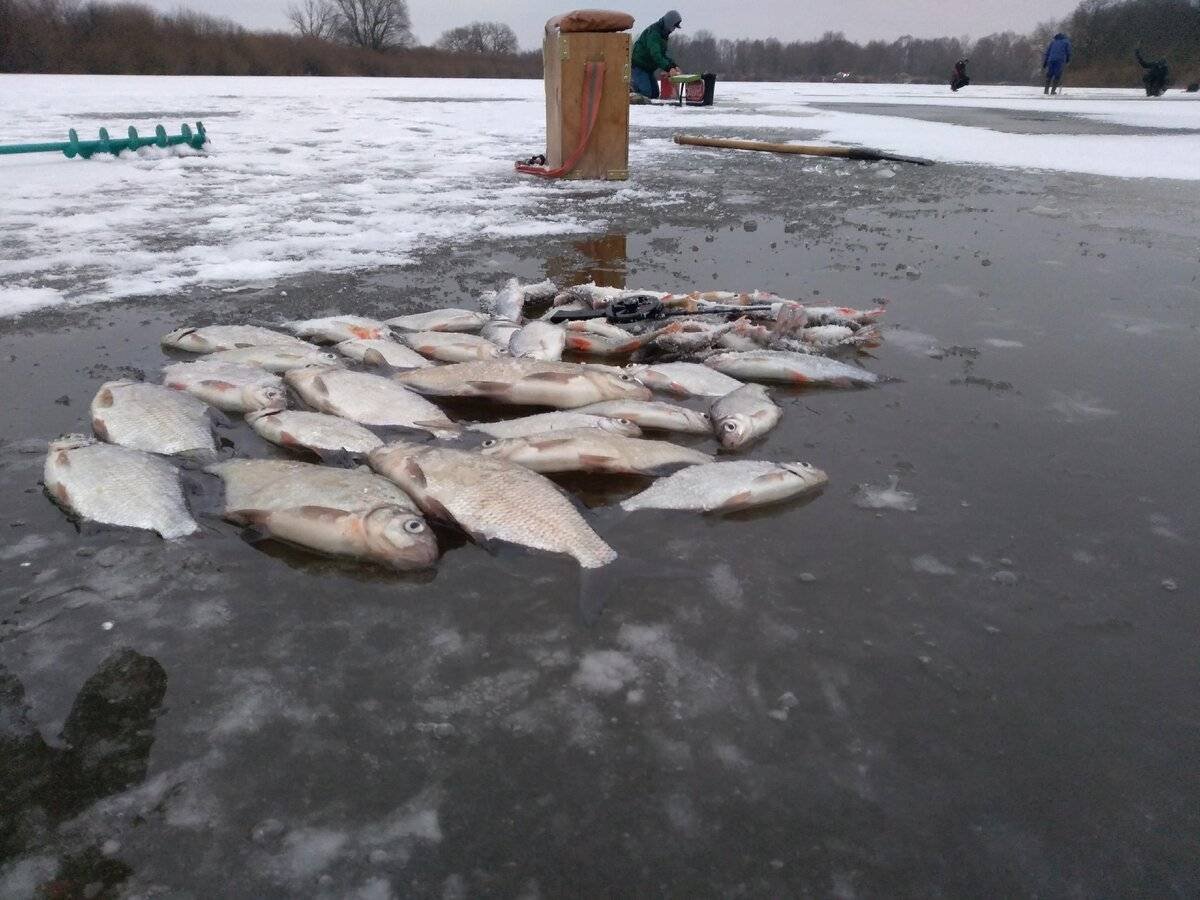 Рыбачат ли в озерах. Зимняя рыбалка. Рыбалка на озере. Рыбалка в марте. Зимняя рыбалка на реке.